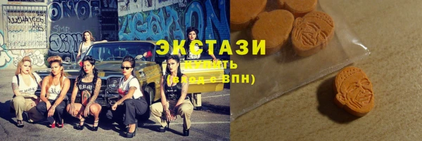 ECSTASY Богородск